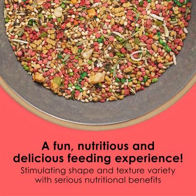 Show full view: Kaytee Fiesta Variety Mix Canary & Finch Food, 2-lb bag slide 2 of 11