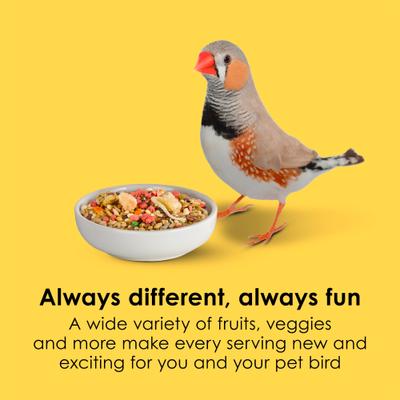 Show full view: Kaytee Fiesta Variety Mix Canary & Finch Food, 2-lb bag slide 3 of 11