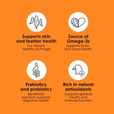 Show full view: Kaytee Fiesta Variety Mix Canary & Finch Food, 2-lb bag slide 5 of 11