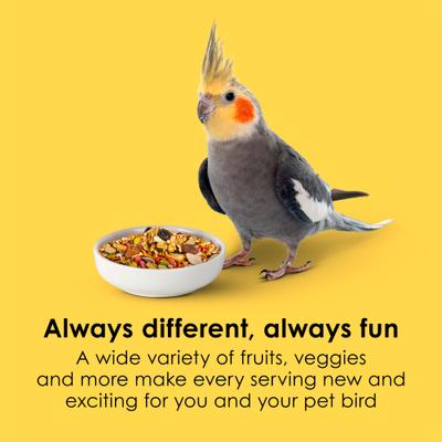Show full view: Kaytee Fiesta Variety Mix Cockatiel Food, 2.5-lb bag slide 3 of 12