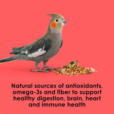 Show full view: Kaytee Fiesta Variety Mix Cockatiel Food, 25-lb bag slide 6 of 12