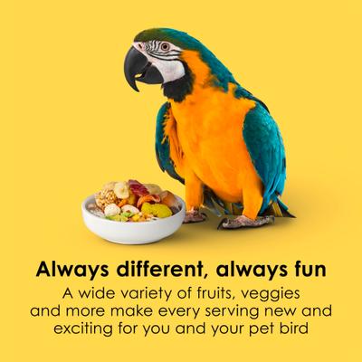 Show full view: Kaytee Fiesta Variety Mix Macaw Food, 4.5-lb bag slide 5 of 13