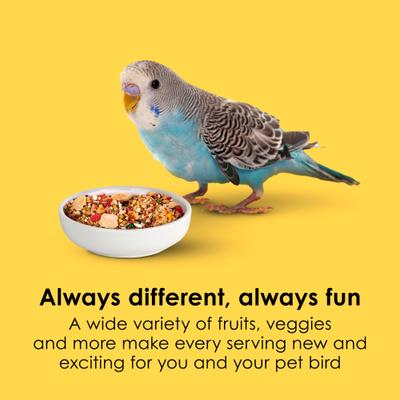 Show full view: Kaytee Fiesta Variety Mix Parakeet Food, 2-lb bag slide 3 of 12