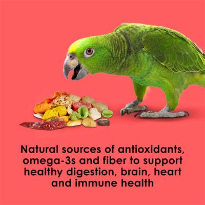 Show full view: Kaytee Fiesta Variety Mix Parrot Food, 4.5-lb bag slide 6 of 13