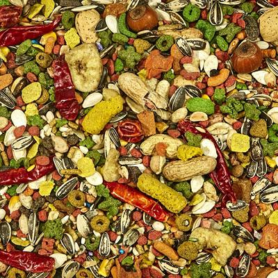 Show full view: Kaytee Fiesta Variety Mix Parrot Food + Super Bird Creations 4 Way Play Toy slide 4 of 6