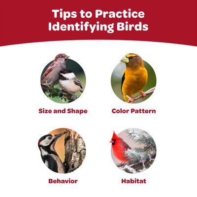 Show full view: Kaytee Finch Wild Bird Food, 1 count slide 7 of 9