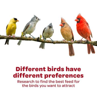 Show full view: Kaytee Finch Wild Bird Food, 1 count slide 9 of 9