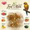 Show in main carousel: Kaytee Food from the Wild Conure Bird Food, 2.5-lb bag slide 2 of 11