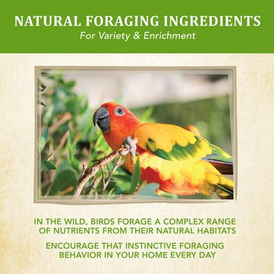 Show full view: Kaytee Food from the Wild Conure Bird Food, 2.5-lb bag slide 8 of 11