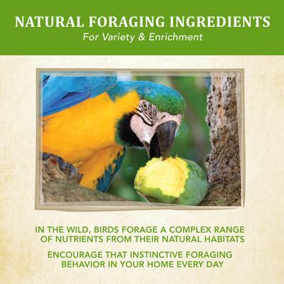 Show full view: Kaytee Food from the Wild Macaw Bird Food, 2.5-lb bag slide 5 of 10