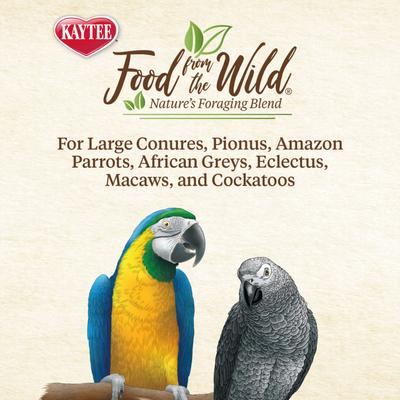 Show full view: Kaytee Food from the Wild Medley Med & Large Pet Bird Treats, 3-oz bag slide 6 of 7