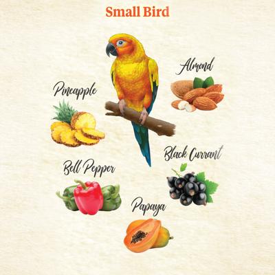 Show full view: Kaytee Food from the Wild Medley Small Pet Bird Treats, 3-oz bag slide 4 of 7
