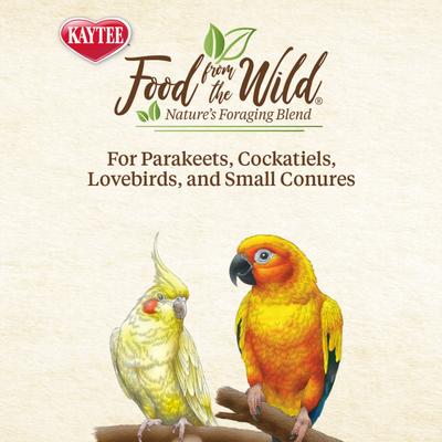 Show full view: Kaytee Food from the Wild Medley Small Pet Bird Treats, 3-oz bag slide 6 of 7