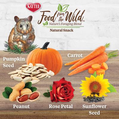Show full view: Kaytee Food from the Wild Natural Snack Hamster & Gerbil Treats, 2-oz bag slide 2 of 8