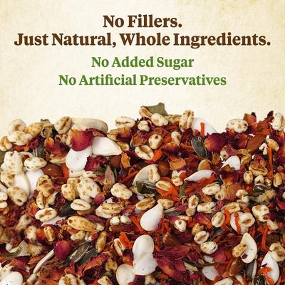Show full view: Kaytee Food from the Wild Natural Snack Hamster & Gerbil Treats, 2-oz bag slide 3 of 8