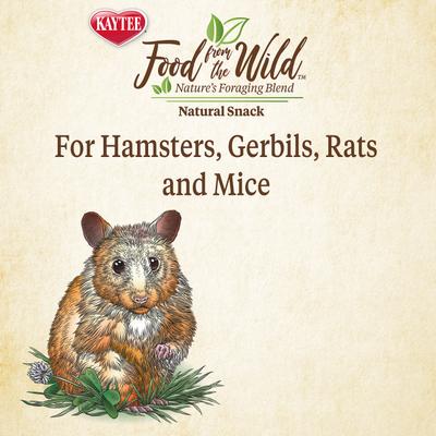 Show full view: Kaytee Food from the Wild Natural Snack Hamster & Gerbil Treats, 2-oz bag slide 5 of 11