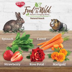 Kaytee Food From the Wild Natural Snack Rabbit Treats, 1-oz bag slide 2 of 9