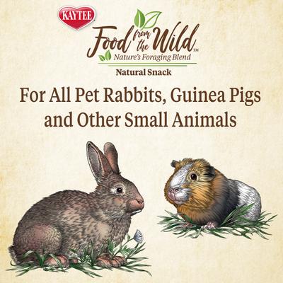 Show full view: Kaytee Food From the Wild Natural Snack Rabbit Treats, 1-oz bag slide 5 of 10