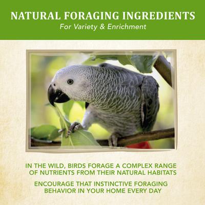 Show full view: Kaytee Food from the Wild Parrot Bird Food, 2.5-lb bag slide 5 of 10