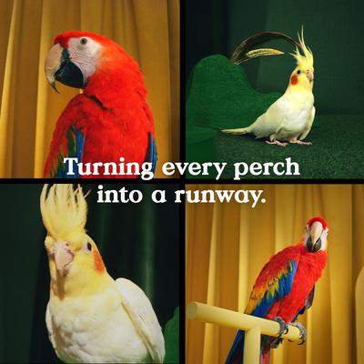 Show full view: Kaytee Forti-Diet Pro Health Bird Greens Bird Food, 1-oz bag slide 5 of 6