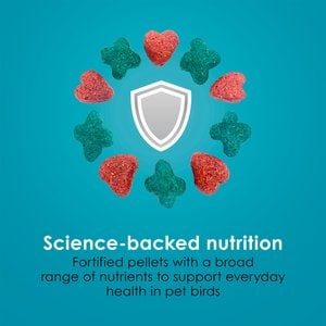 Kaytee Forti-Diet Pro Health Conure & Lovebird Food, 4-lb bag
