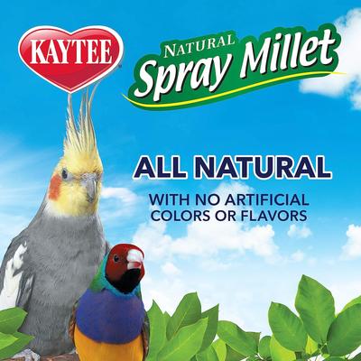 Show full view: Kaytee Gold Spray Millet Bird Treats, 5-lb box slide 5 of 8
