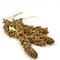 Show in main carousel: Kaytee Gold Spray Millet Bird Treats, 5-lb box slide 3 of 8