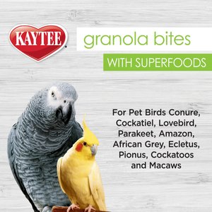 Kaytee Granola Bites Berry & Flax Bird Treats, 4.5-oz bag