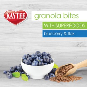 Kaytee Granola Bites Berry & Flax Bird Treats, 4.5-oz bag