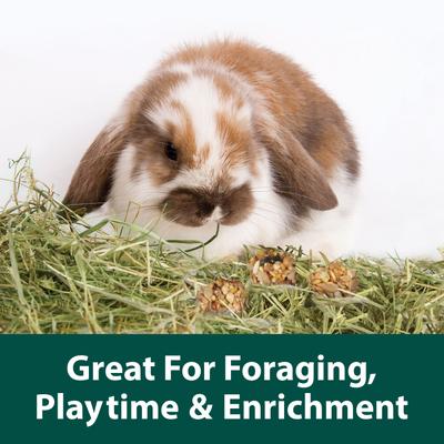 Show full view: Kaytee Granola Small Animal Bites with Superfoods Cranberry Apple & Flax Small Pet Treats, 4.5-oz bag slide 3 of 7