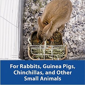 Kaytee Hay-N-Food Bin with Quick Locks Small Animal Feeder, Color Varies, 7-in