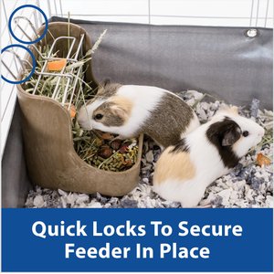 Kaytee Hay-N-Food Bin with Quick Locks Small Animal Feeder, Color Varies, 7-in