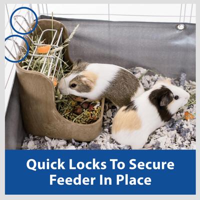 Show full view: Kaytee Hay-N-Food Bin with Quick Locks Small Animal Feeder, Color Varies, 7-in slide 6 of 11