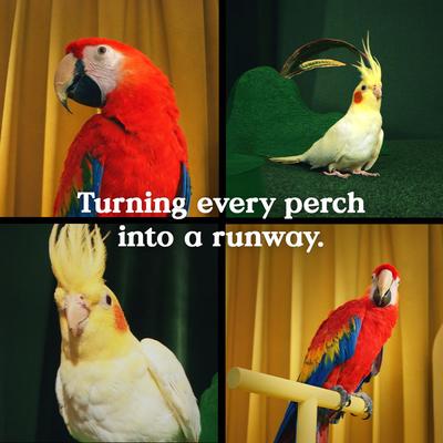 Show full view: Kaytee Hi-Calcium Grit Bird Supplement, 21-oz jar slide 5 of 6