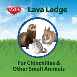 Kaytee Lava Ledge Small Animal Toy, 5.8-in