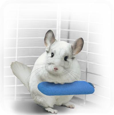 Show full view: Kaytee Lava Ledge Small Animal Toy, 5.8-in slide 6 of 11