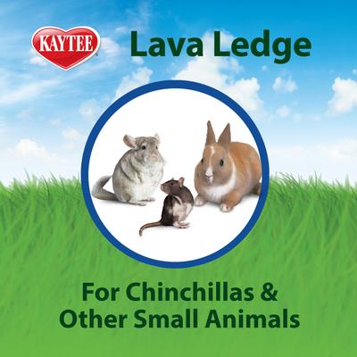 Show full view: Kaytee Lava Ledge Small Animal Toy, 5.8-in slide 7 of 11