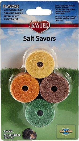Kaytee Mini Salt Savors Small Pet Treats, 4 count