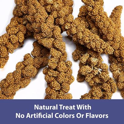 Show full view: Kaytee Natural Spray Millet Bird Treats, 7-oz pouch slide 3 of 6