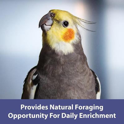 Show full view: Kaytee Natural Spray Millet Bird Treats, 12 count slide 5 of 10