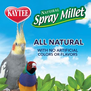 Kaytee Natural Spray Millet Bird Treats, 12 count