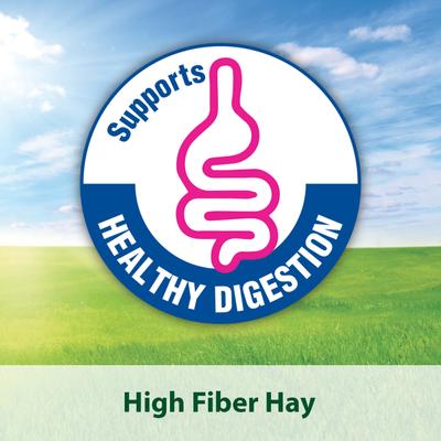 Show full view: Kaytee Natural Timothy Blend Cubes Small Animal Treats, 1-lb bag, bundle of 3 slide 5 of 8