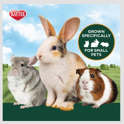 Show full view: Kaytee Natural Timothy Hay Small Animal Food, 96-oz bag, bundle of 2 slide 5 of 14