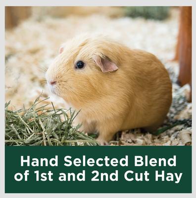 Show full view: Kaytee Natural Timothy Hay Small Animal Food, 96-oz bag, bundle of 2 slide 7 of 14