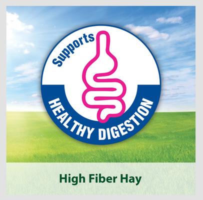 Show full view: Kaytee Natural Timothy Hay Small Animal Food, 96-oz bag, bundle of 2 slide 9 of 14