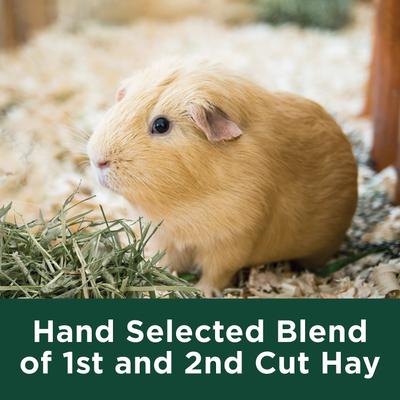 Show full view: Kaytee Natural Timothy Hay Small Animal Food, 96-oz bag, bundle of 3 slide 7 of 14