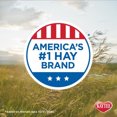 Show full view: Kaytee Natural Timothy Hay Small Animal Food, 96-oz bag, bundle of 3 slide 8 of 14