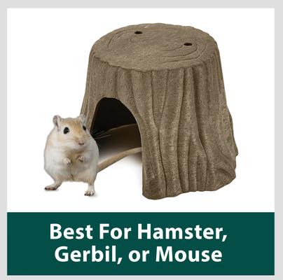 Show full view: Kaytee Natural Tree Trunk Small Animal Hideout, Small slide 4 of 11