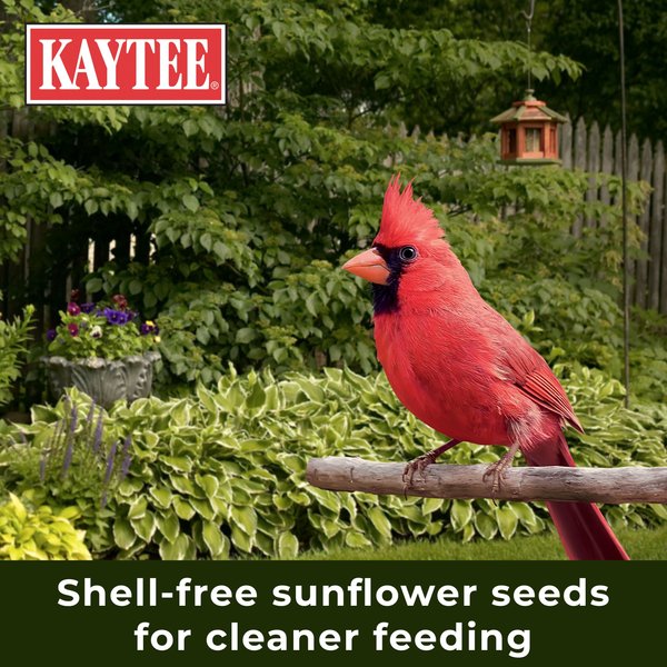 Show full view: Kaytee No Mess Blend Wild Bird Food, 10-lb bag slide 7 of 10