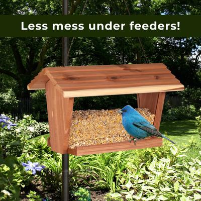 Show full view: Kaytee No Mess Blend Wild Bird Food, 10-lb bag slide 8 of 10